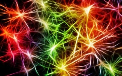Dominando Redes Neuronales: Secretos para Modelos de Deep Learning Eficientes