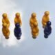 Análisis de Datos Categóricos: Desvelando Patrones en Variables Cualitativas