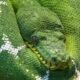 Cómo Hacer Web Scraping con Selenium en Python